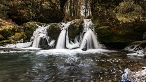 A serene frozen waterfall cascading over moss-covered rocks in a tranquil forest setting.